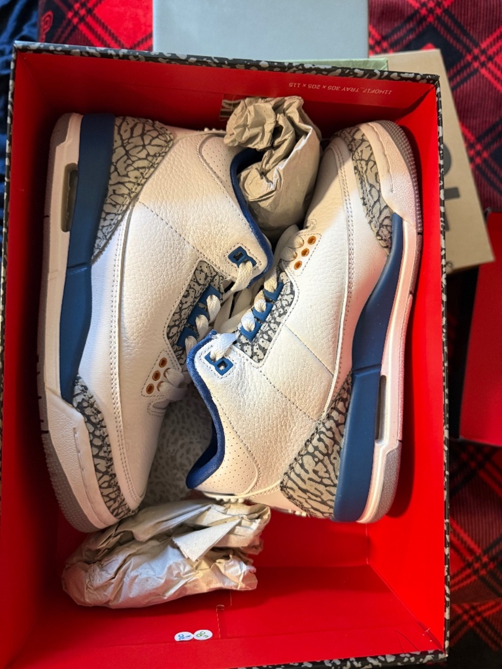 Sneakers/Youth